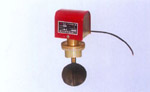 ZSJZ型焊接式水流指示器